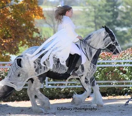 Horse Halloween Costumes